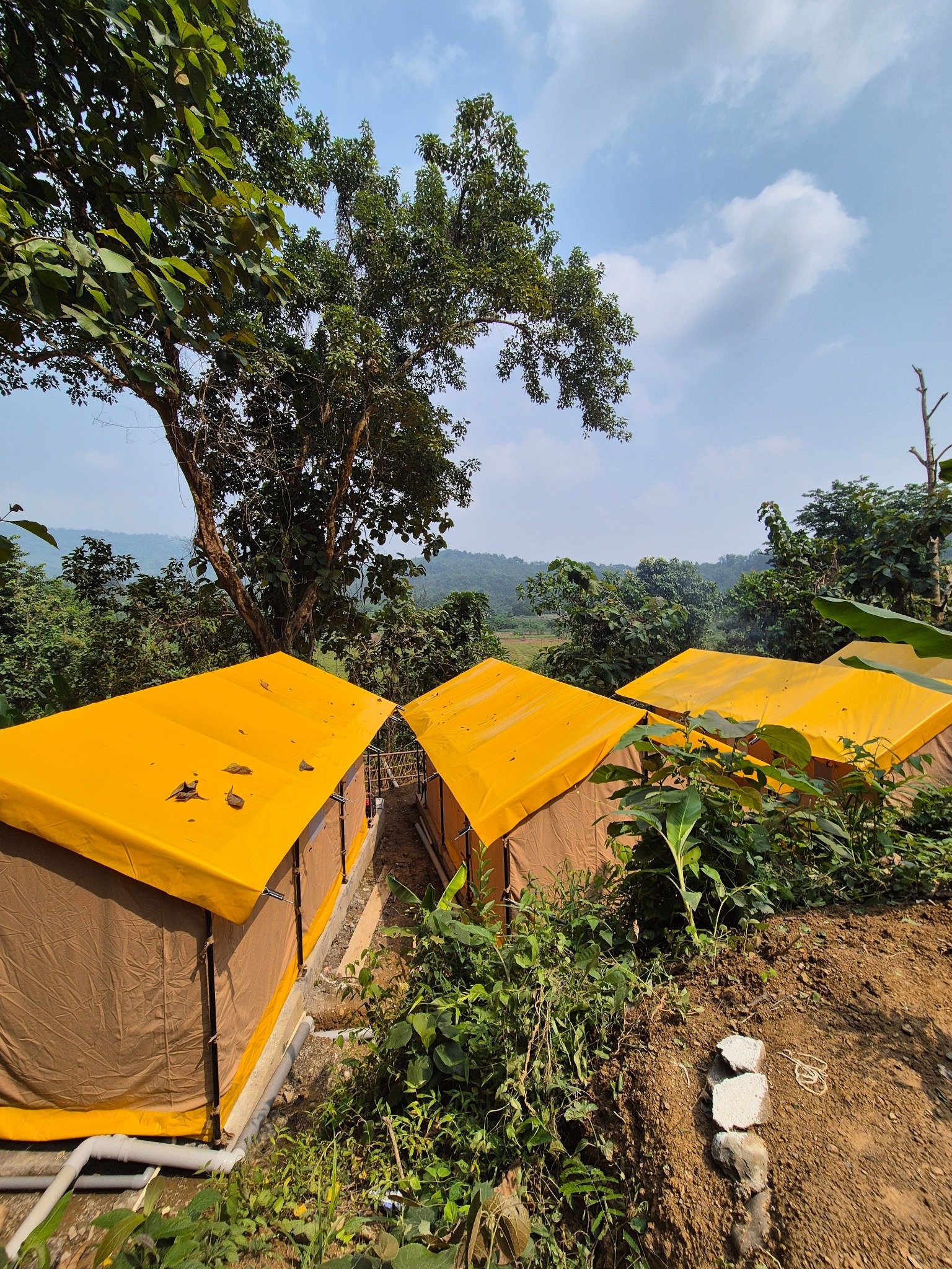Safarnama Wari Chora